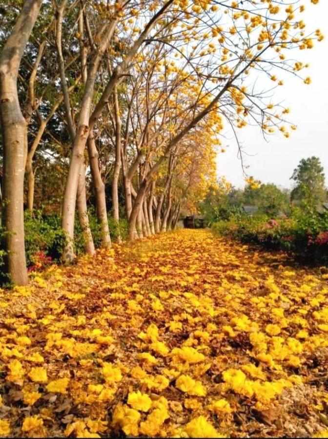 เด่นชัยซิตี้ รีสอร์ท แพร่ ภายนอก รูปภาพ