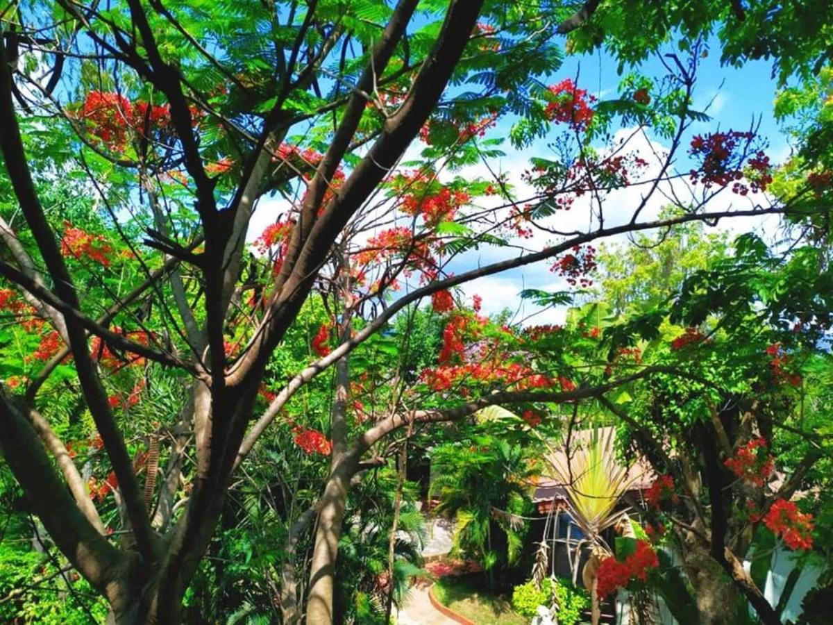 เด่นชัยซิตี้ รีสอร์ท แพร่ ภายนอก รูปภาพ